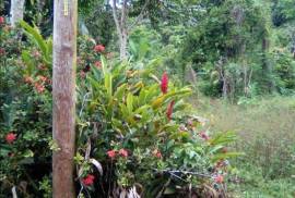 Development Land (Residential) for Sale in Gayle