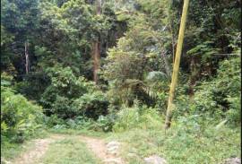 Development Land (Residential) for Sale in Gayle