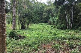 Development Land (Residential) for Sale in Moneague