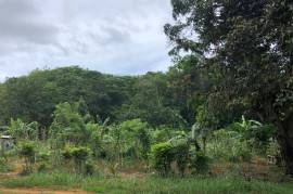 Development Land (Residential) for Sale in Moneague