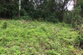 Development Land (Residential) for Sale in Moneague