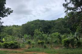 Development Land (Residential) for Sale in Moneague