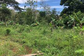 Development Land (Residential) for Sale in Moneague