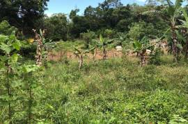 Development Land (Residential) for Sale in Moneague