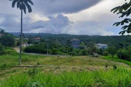 Development Land (Residential) for Sale in St. Ann's Bay