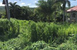 Development Land (Residential) for Sale in St. Ann's Bay