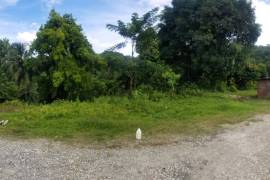 Development Land (Residential) for Sale in Morant Bay