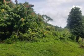 Development Land (Residential) for Sale in Morant Bay