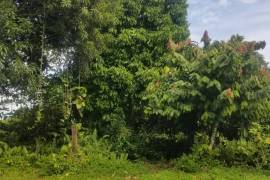 Development Land (Residential) for Sale in Morant Bay