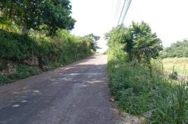 Development Land (Residential) for Sale in Alexandria