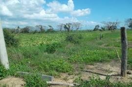 Development Land (Residential) for Sale in Old Harbour