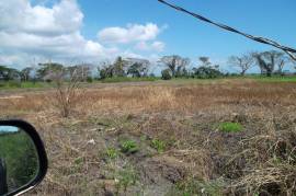 Development Land (Residential) for Sale in Old Harbour