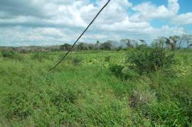 Development Land (Residential) for Sale in Old Harbour