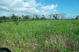 Development Land (Residential) for Sale in Old Harbour