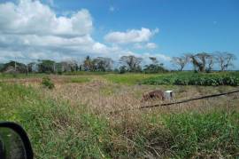 Development Land (Residential) for Sale in Old Harbour