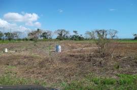 Development Land (Residential) for Sale in Old Harbour