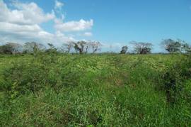 Development Land (Residential) for Sale in Old Harbour