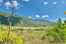 Development Land (Residential) for Sale in Mandeville