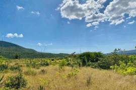 Development Land (Residential) for Sale in Mandeville