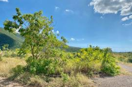 Development Land (Residential) for Sale in Mandeville