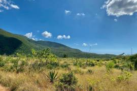 Development Land (Residential) for Sale in Mandeville