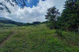 Development Land (Residential) for Sale in Seaforth