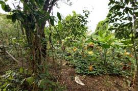 Development Land (Residential) for Sale in Seaforth