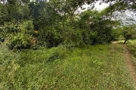 Development Land (Residential) for Sale in Seaforth