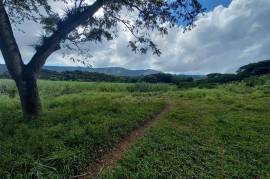 Development Land (Residential) for Sale in Seaforth