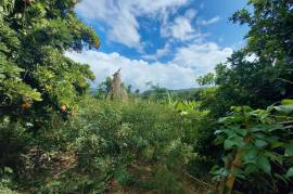 Development Land (Residential) for Sale in Seaforth