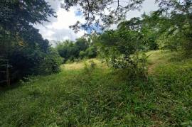 Development Land (Residential) for Sale in Seaforth