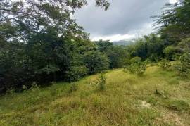 Development Land (Residential) for Sale in Seaforth