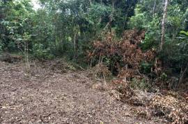 Development Land (Residential) for Sale in Port Morant