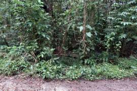 Development Land (Residential) for Sale in Port Morant