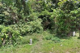 Development Land (Residential) for Sale in Port Morant