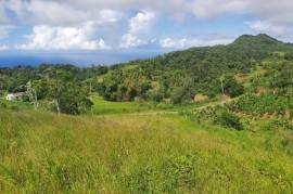 Development Land (Residential) for Sale in Bamboo