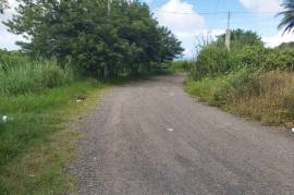 Development Land (Residential) for Sale in Bamboo