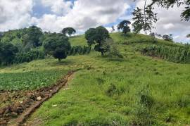 Development Land (Residential) for Sale in Bamboo