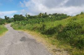 Development Land (Residential) for Sale in Bamboo