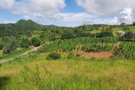 Development Land (Residential) for Sale in Bamboo