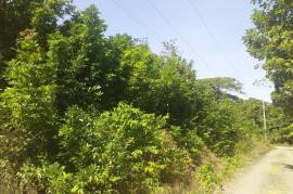 Development Land (Residential) for Sale in Runaway Bay