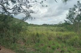 Development Land (Residential) for Sale in Lionel Town