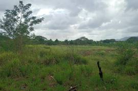 Development Land (Residential) for Sale in Lionel Town