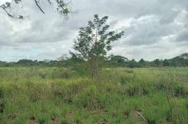 Development Land (Residential) for Sale in Lionel Town