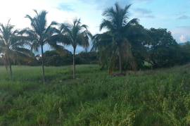 Development Land (Residential) for Sale in Nain