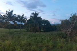 Development Land (Residential) for Sale in Nain