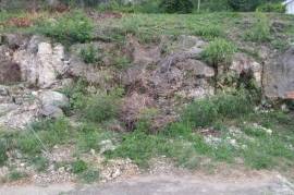 Development Land (Residential) for Sale in Kingston 19