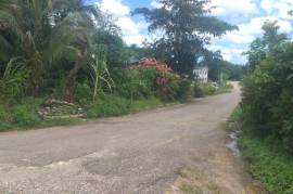 Development Land (Residential) for Sale in Grange Hill