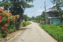 Development Land (Residential) for Sale in Grange Hill