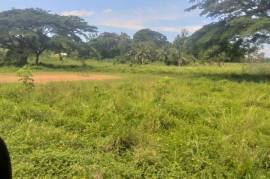 Development Land (Residential) for Sale in Grange Hill